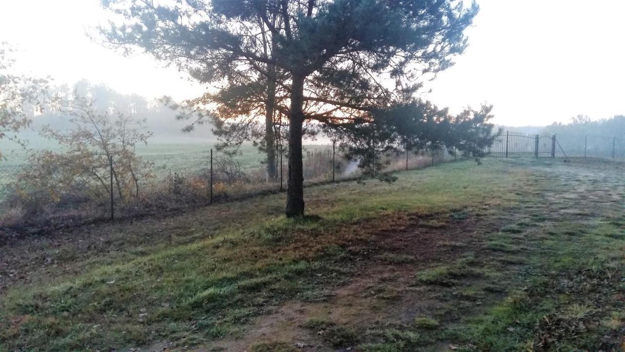 Willa Kraniec Swiata - Tylko Dla Ciebie - Zachwyca Krajobrazem, Regeneruje Cisza I Komfortem Болеславець Екстер'єр фото